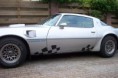 /album/pascal/pontiac-fire-bierd-trans-am-1981-043-jpg/